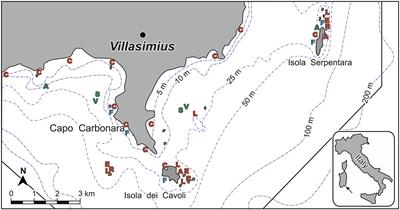 Multiple indices on different habitats and descriptors provide consistent assessments of environmental quality in a marine protected area